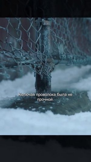 Сериал. Одни из нас