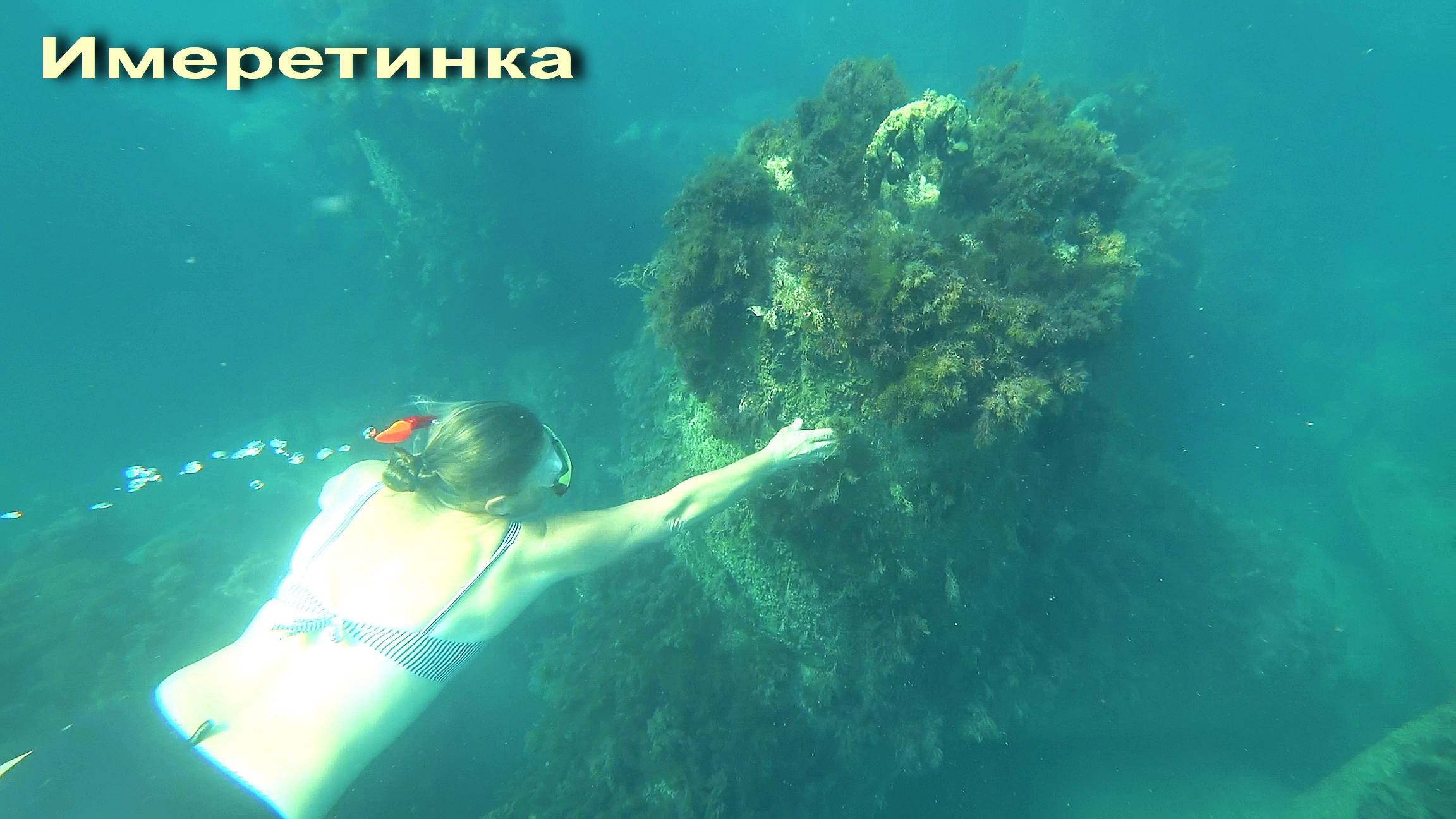 АДЛЕР. ИМЕРЕТИНКА. ТЁПЛОЕ МОРЕ. ПОДВОДНЫЙ МИР. смотреть онлайн