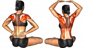 9-минутная утренняя практика мобильности