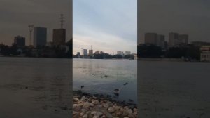 🌕 КАК состояние покоя связано с приходом изобилия в жизнь? 😇🪷