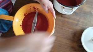 Демонстрация работы механической протирки овощей, фруктов и ягод.