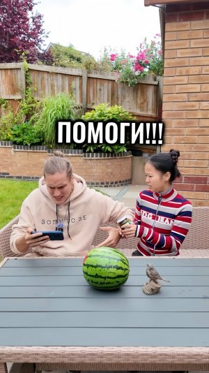 Моя Жена Босс!