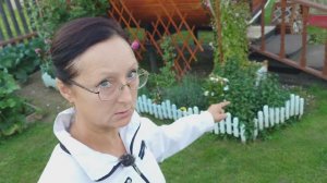 Видео привет с 6 соток 11 сентября 2025 года