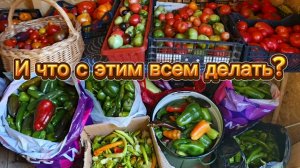 Большие планы маленького консервного заводика.☺️