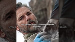 Сериал. В глуши