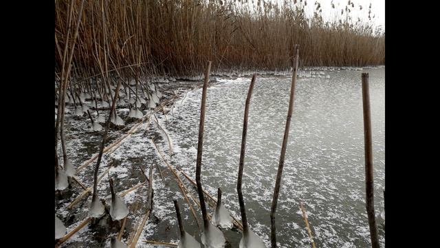 Electric Heartbeat смотреть онлайн