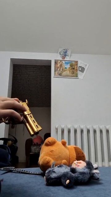 видео от моего брата