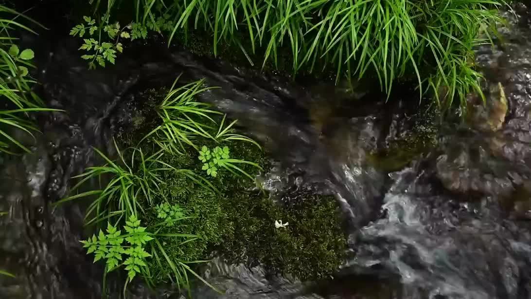 Успокаивающий звук ручья