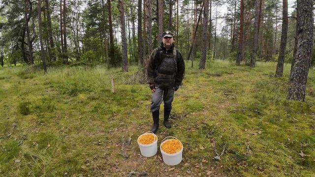 ЛИСИЧКОВОЕ ЭЛЬДОРАДО 2025!! смотреть онлайн