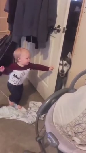 Спиногрызы и домашние питомцы 🤗