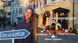 Калининградская область на автомобиле. Зеленоградск. Светлогорск. Куршская коса и танцующий лес