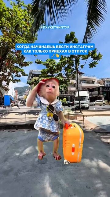 Тот самый друг …😄🧳🛬🏝️🇹🇭 Кто также?#пхукет #таиланд #пхукетчиптур #пхукетэкскурсии смотреть онлайн