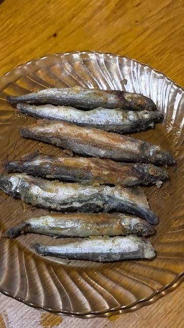 Мойва смотреть онлайн