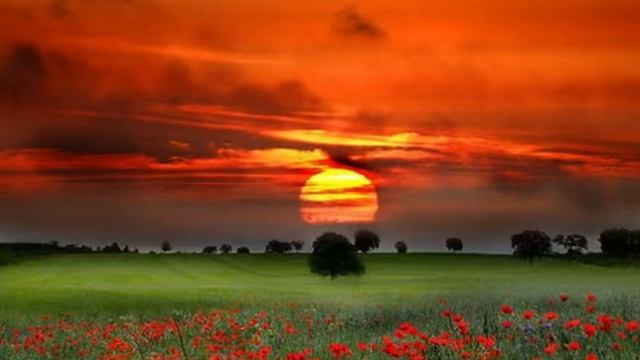 Очень красивое чтение Корана смотреть онлайн