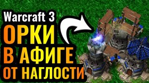 Warcraft 3 Reforged_УДУШАЮЩИЙ ALL-in_ Застройка Башнями Альянса против Орды в Warcraft 3 Reforged