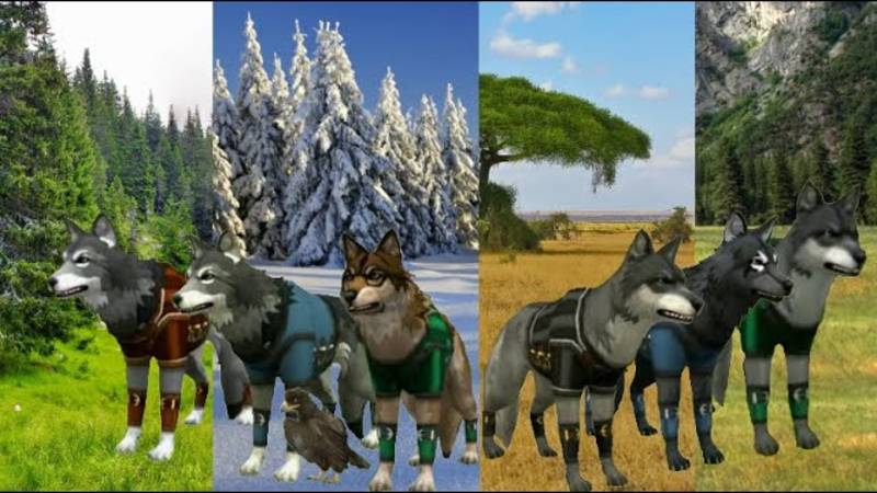 Wild Craft. Вся история стаи