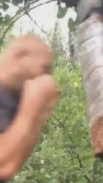 Испанский стыд-6