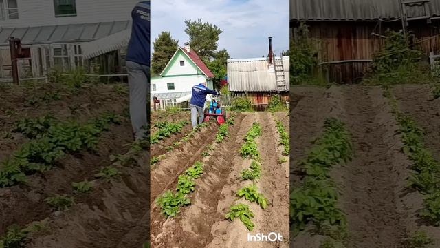 от вспашки до вспашки смотреть онлайн