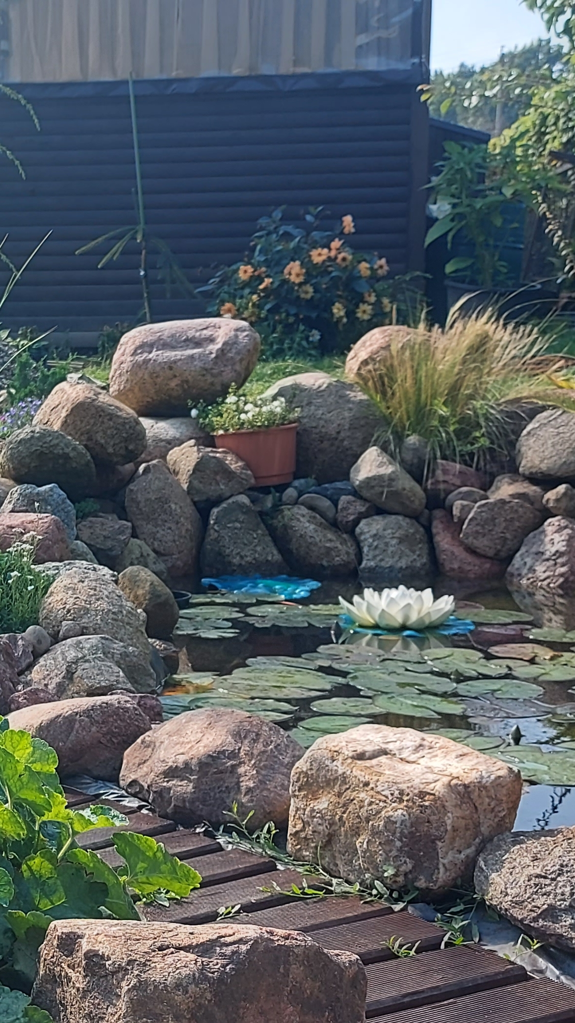 Зона прудика в сентябре🍁🌞 #любимаядача смотреть онлайн