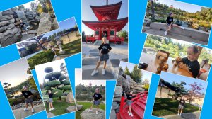 Японский сад в парке Галицкого Краснодар/ Кроличья нора