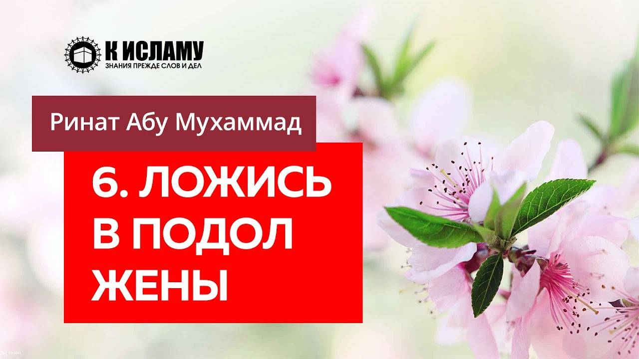 6/40) Ложись в подол жены, то есть клади голову ей на ноги | Ринат Абу Мухаммад смотреть онлайн