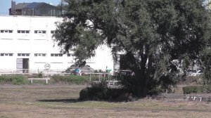 14.09.2025г скачка № 8