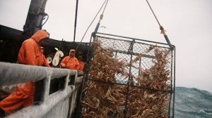 Крабы , Опасный Промысел