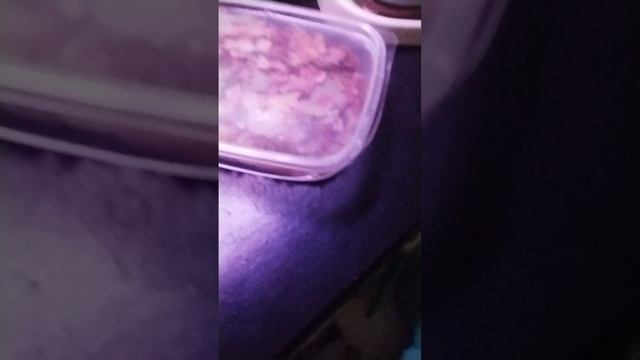 мои рыбки 🐠 продолжение