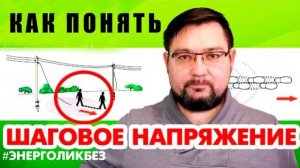Шаговое напряжение. Чем опасно? И как выходить из зоны #энерголикбез