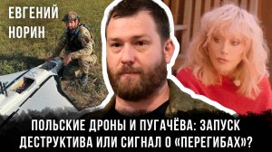 Польские дроны и Пугачёва: запуск деструктива или сигнал о «перегибах»? | Евгений Норин