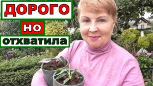 Эти растения переживают вторую молодоть. Одно плохо- дорого! Как не загубить_