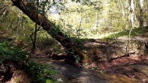 Художественное приключение на пленэре 27.04.2017 Plein Air Painting Adventure 27.04.2017