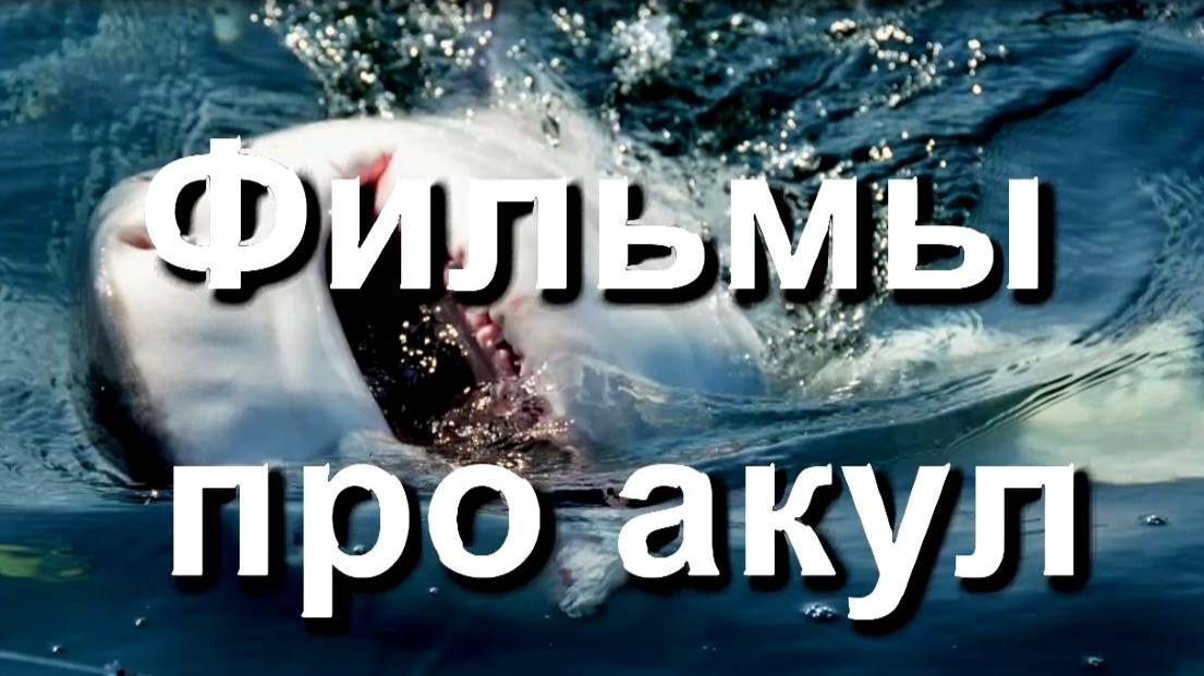Фильмы про акул, которые стоит посмотреть / Нападение акул - монстров / Топ фильмов