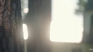 Алла Пугачева: «Все закончится в 2027 году»