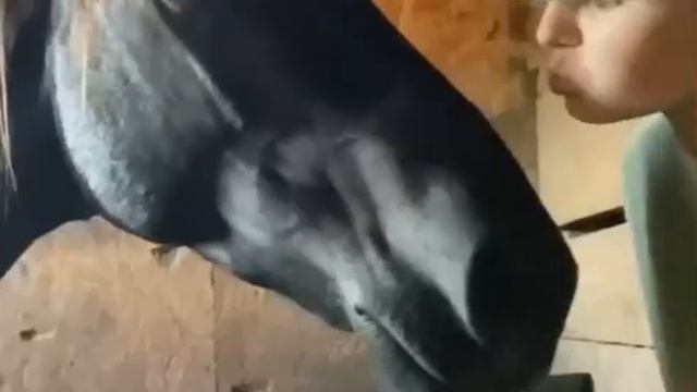 Любовь. Нежность.