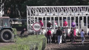 14.09.2025г скачка № 4 памяти мастера-жокея и мастера-тренера М.И.Лукинова