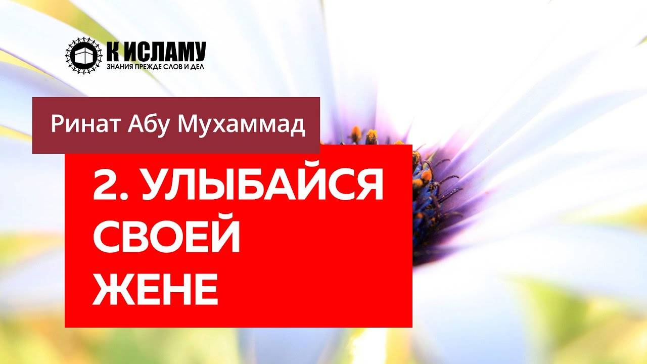 2/40) Улыбайся своей жене | Ринат Абу Мухаммад смотреть онлайн