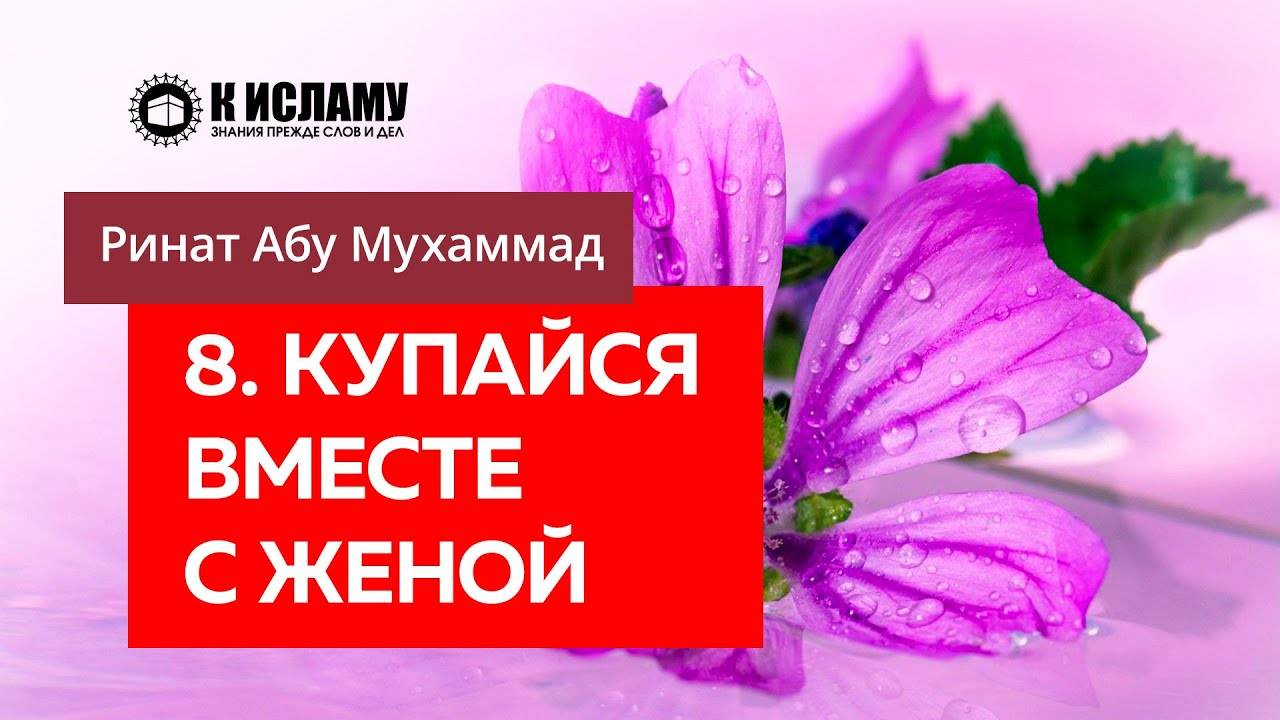 8/40) Купайся вместе с женой | Ринат Абу Мухаммад смотреть онлайн