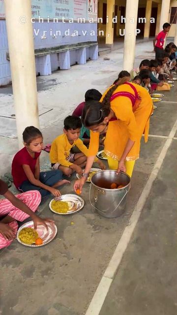 7 - 13 сентября. Видеоотчет о кормлении детей смотреть онлайн