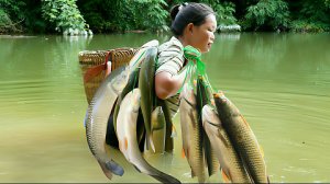 Неожиданный улов рыбы в заброшенном пруду. Продажа рыбы на сельском рынке. Жизнь во Вьетнаме