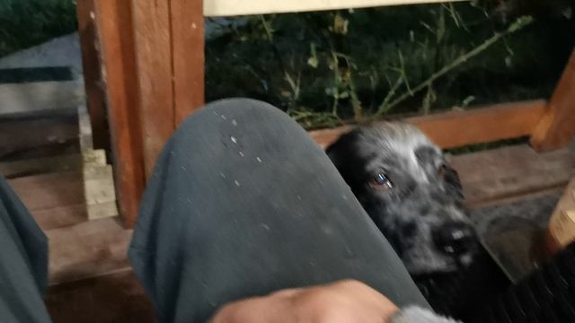 СОЧИ. ГОРНОЕ ЛОО. УТРО. 14.09.2025 смотреть онлайн