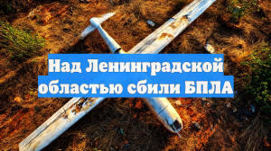 Над Ленинградской областью сбили БПЛА
