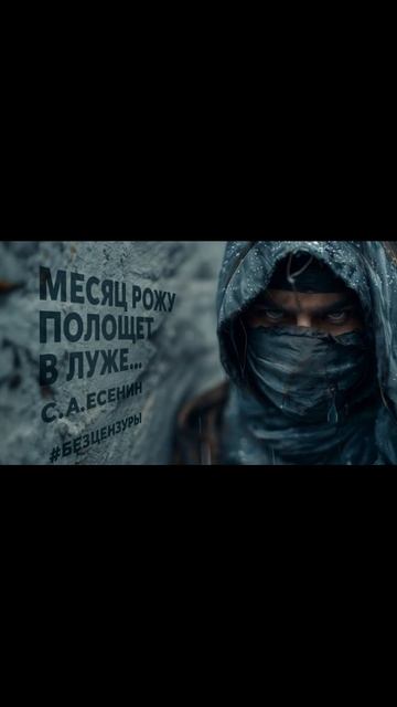 Месяц рожу полощет в луже… 🎶 Песня, от которой пьянеет душа 🍷 С.А. Есенин #стихи смотреть онлайн
