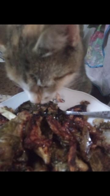 Готовлю топинамбур смотреть онлайн