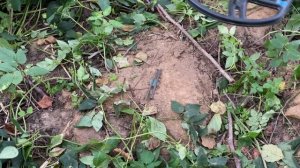 Офигеть  Garrett vortex  увидел это