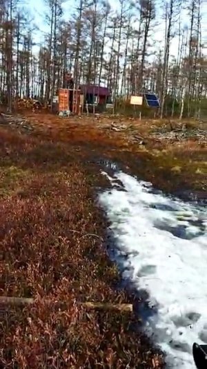 Отзыв на аэролодку Нерпа. Приморский край