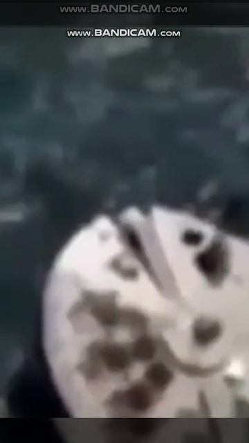 Необычный объект в воде обнаружили метеослужбы смотреть онлайн