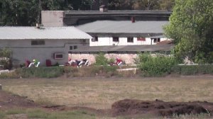 14.09.2025г скачка № 5