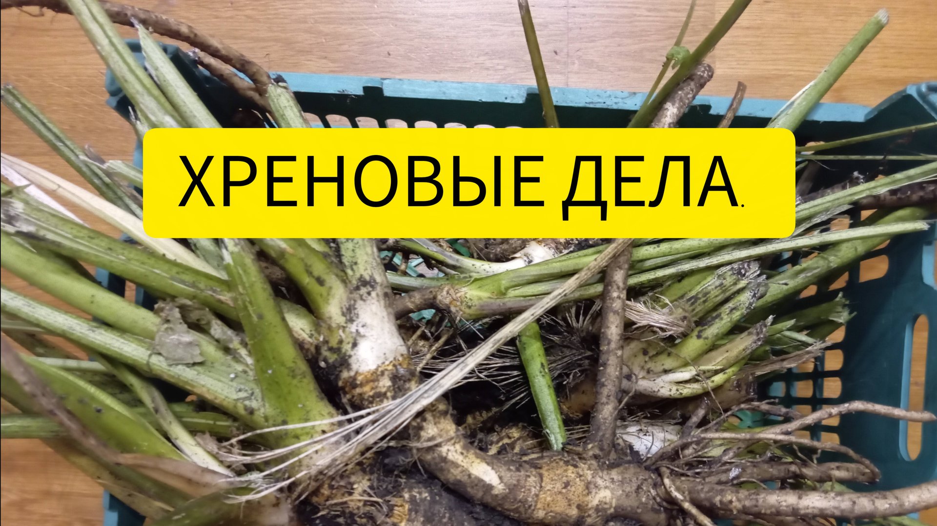 Хреновые дела. смотреть онлайн