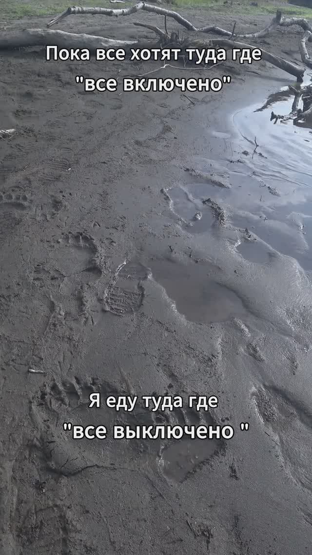 У меня свой вайб #Камчатка #Рыбалка #Медведи